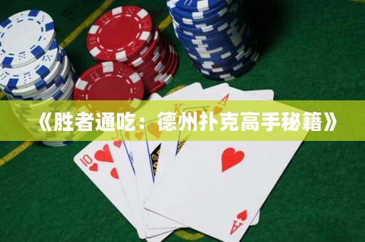 《胜者通吃：德州扑克高手秘籍》