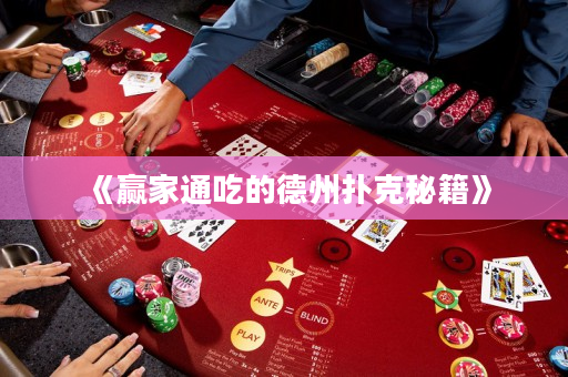《赢家通吃的德州扑克秘籍》