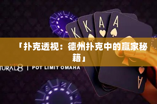 「扑克透视：德州扑克中的赢家秘籍」