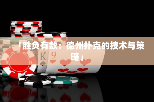 「胜负有数：德州扑克的技术与策略」