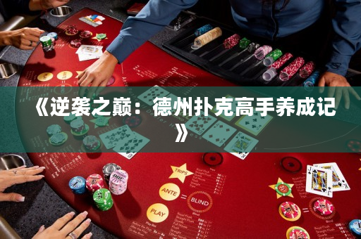 《逆袭之巅：德州扑克高手养成记》
