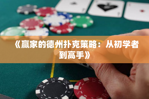 《赢家的德州扑克策略：从初学者到高手》
