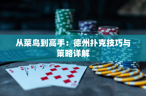 从菜鸟到高手：德州扑克技巧与策略详解
