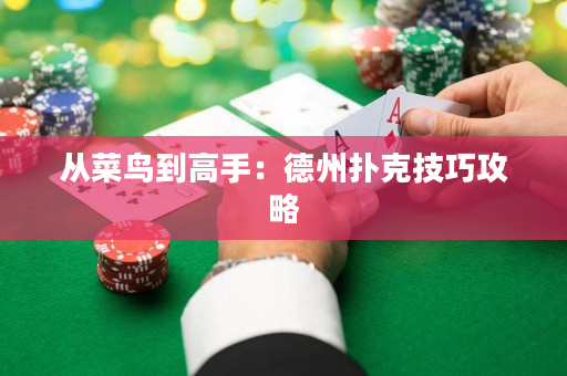 从菜鸟到高手：德州扑克技巧攻略