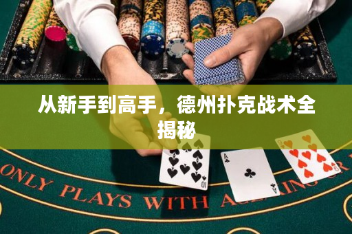 从新手到高手，德州扑克战术全揭秘