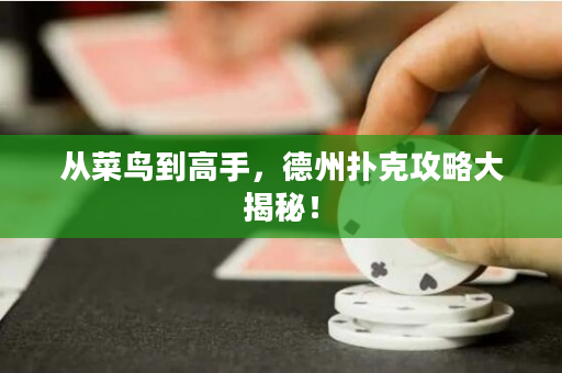 从菜鸟到高手，德州扑克攻略大揭秘！