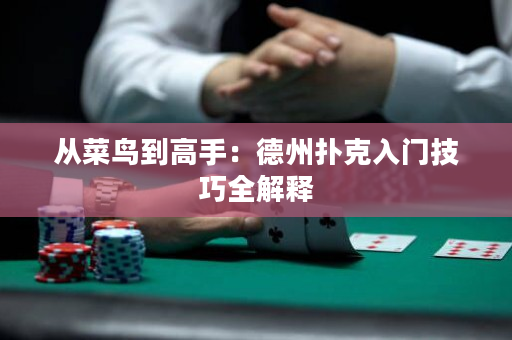 从菜鸟到高手：德州扑克入门技巧全解释