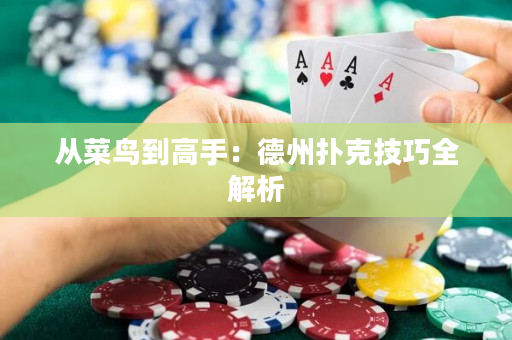 从菜鸟到高手：德州扑克技巧全解析