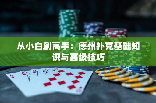 从小白到高手：德州扑克基础知识与高级技巧