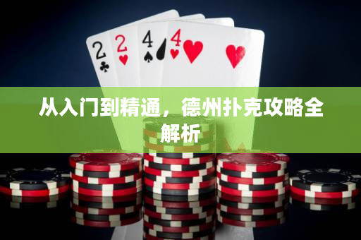从入门到精通，德州扑克攻略全解析