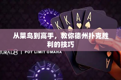 从菜鸟到高手，教你德州扑克胜利的技巧