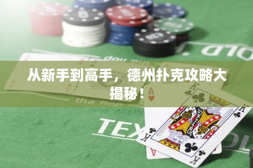 从新手到高手，德州扑克攻略大揭秘！