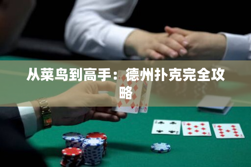 从菜鸟到高手：德州扑克完全攻略