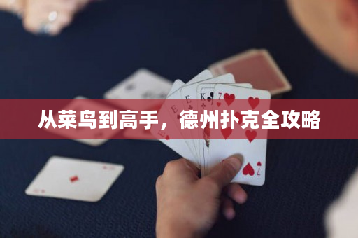 从菜鸟到高手，德州扑克全攻略