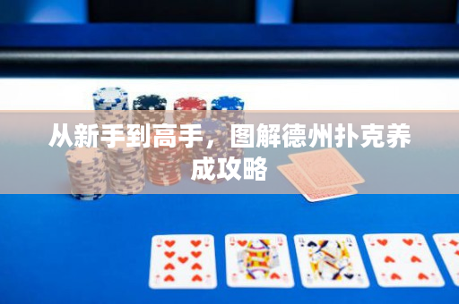 从新手到高手，图解德州扑克养成攻略