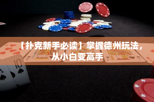 【扑克新手必读】掌握德州玩法，从小白变高手