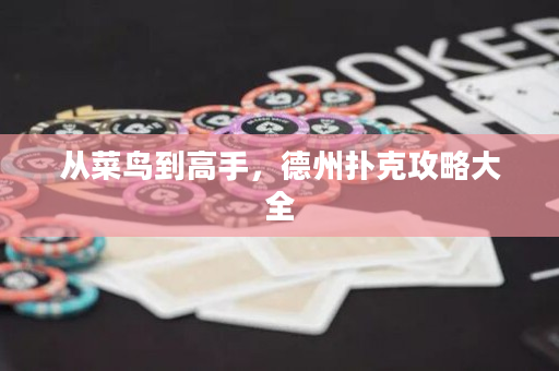 从菜鸟到高手，德州扑克攻略大全