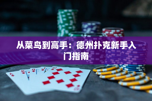 从菜鸟到高手：德州扑克新手入门指南