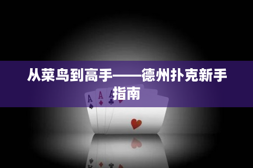从菜鸟到高手——德州扑克新手指南