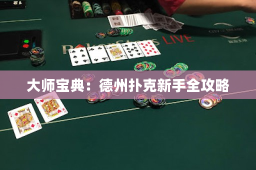 大师宝典：德州扑克新手全攻略
