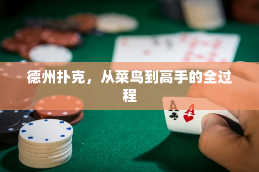 德州扑克，从菜鸟到高手的全过程