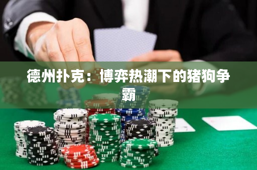德州扑克：博弈热潮下的猪狗争霸