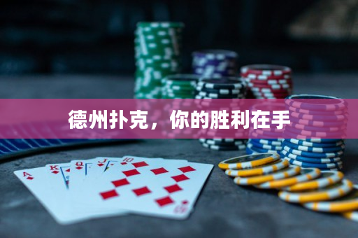 德州扑克，你的胜利在手