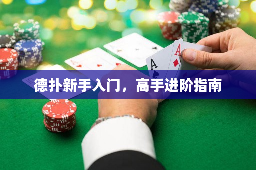 德扑新手入门，高手进阶指南