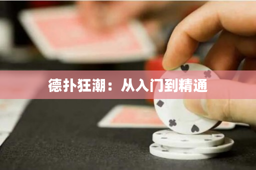 德扑狂潮：从入门到精通