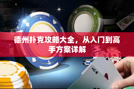 德州扑克攻略大全，从入门到高手方案详解
