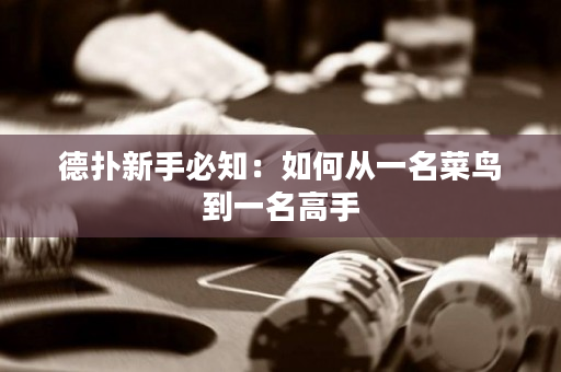 德扑新手必知：如何从一名菜鸟到一名高手