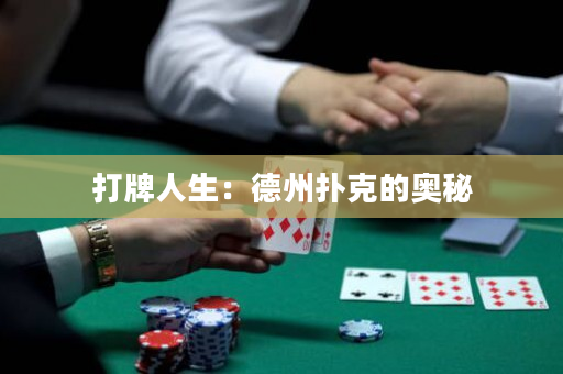 打牌人生：德州扑克的奥秘
