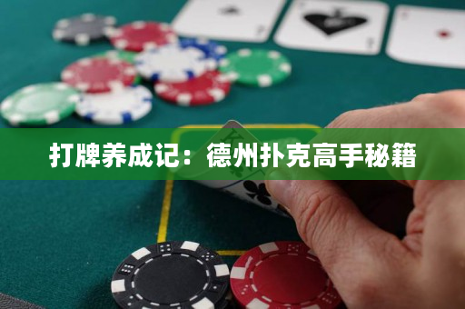 打牌养成记：德州扑克高手秘籍