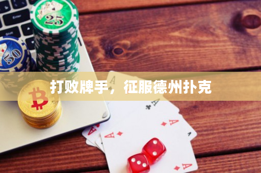 打败牌手，征服德州扑克