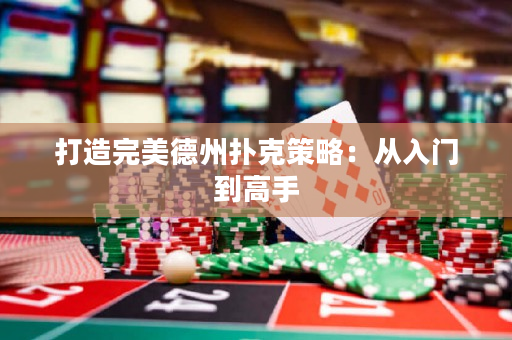 打造完美德州扑克策略：从入门到高手