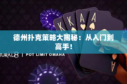 德州扑克策略大揭秘：从入门到高手！