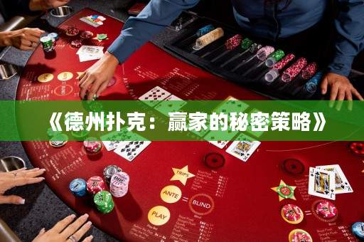 《德州扑克：赢家的秘密策略》