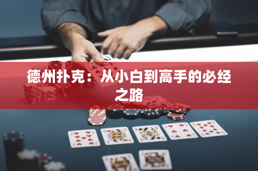 德州扑克：从小白到高手的必经之路