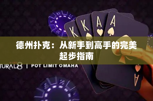 德州扑克：从新手到高手的完美起步指南