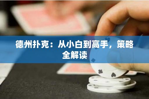 德州扑克：从小白到高手，策略全解读