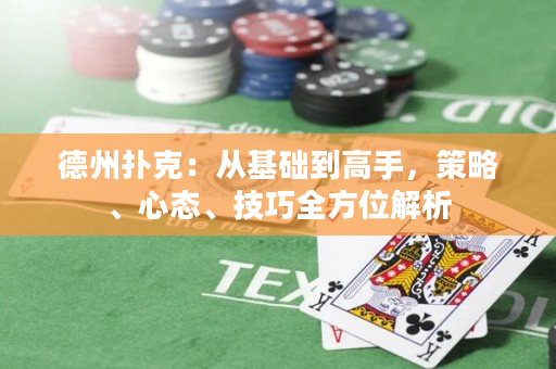 德州扑克：从基础到高手，策略、心态、技巧全方位解析