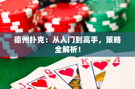 德州扑克：从入门到高手，策略全解析！