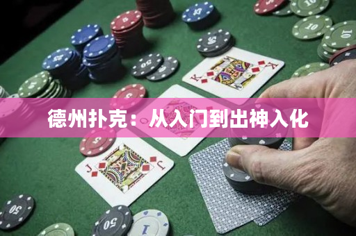 德州扑克：从入门到出神入化