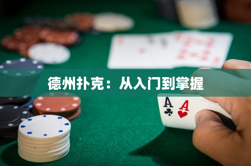 德州扑克：从入门到掌握