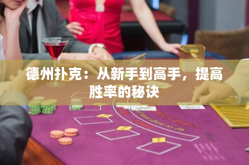 德州扑克：从新手到高手，提高胜率的秘诀