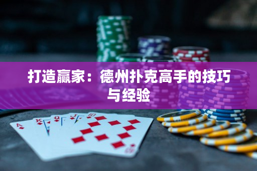 打造赢家：德州扑克高手的技巧与经验