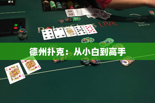 德州扑克：从小白到高手