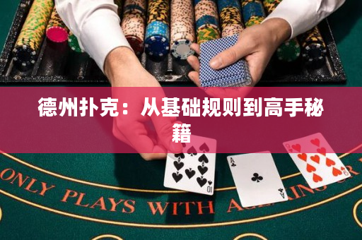 德州扑克：从基础规则到高手秘籍