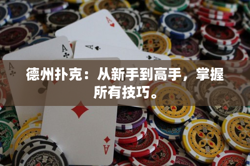 德州扑克：从新手到高手，掌握所有技巧。