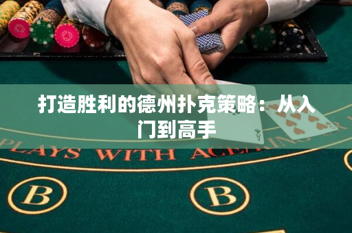 打造胜利的德州扑克策略：从入门到高手